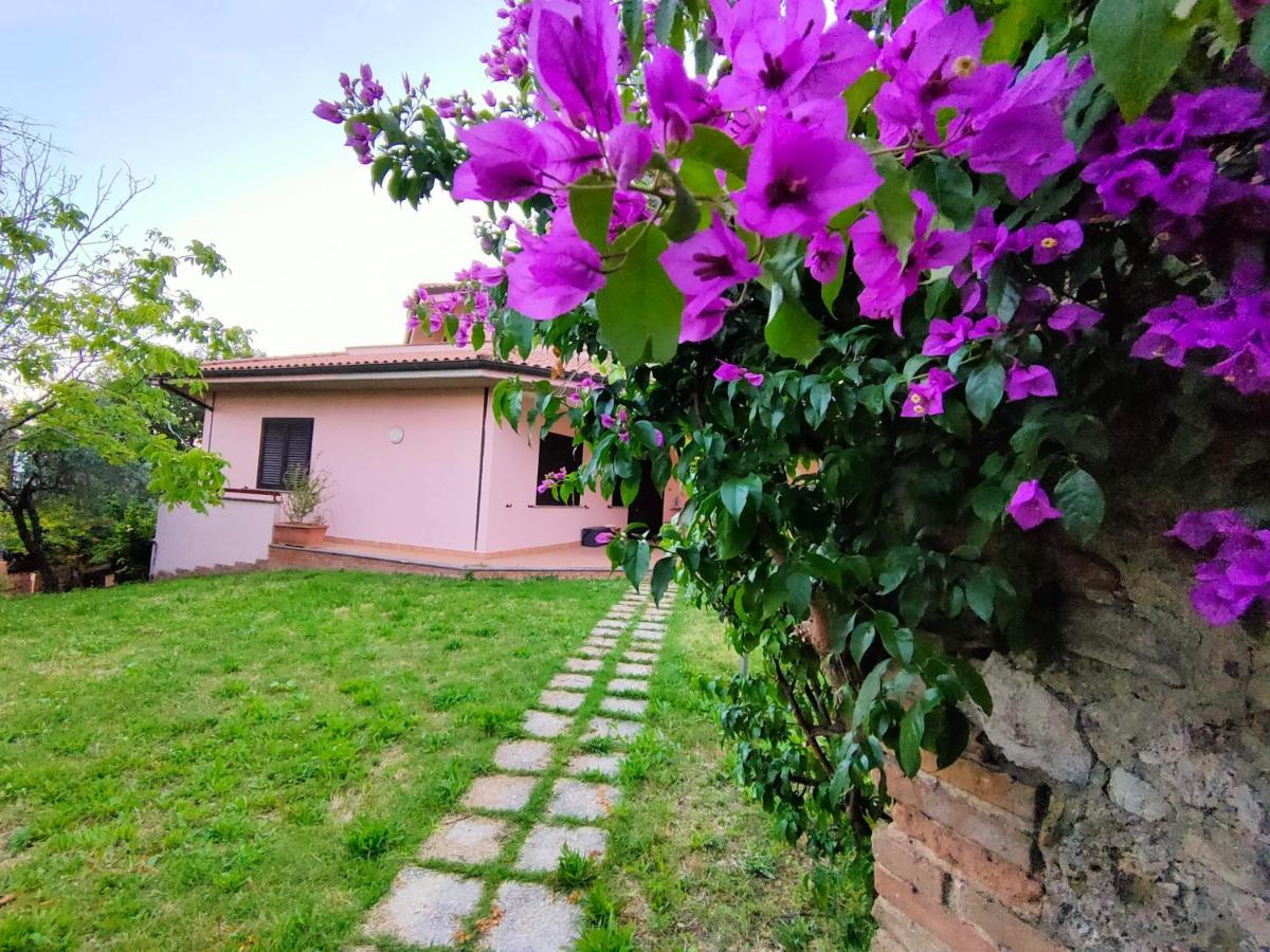 Bella Vista - Belvedere Montebuono  Экстерьер фото